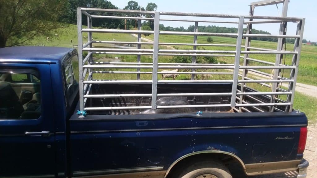 Racks on our truck, used to haul sheep and other small livestock. Cattle will require a trailer!