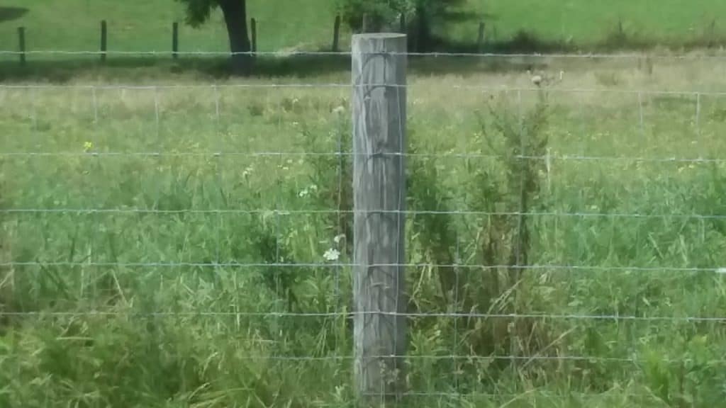 Woven wire fence with wooden fence posts. Note the barbed wire as the top strand.