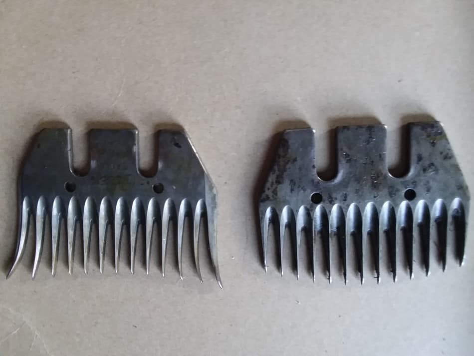 Two different styles of combs that can be used to shear sheep.