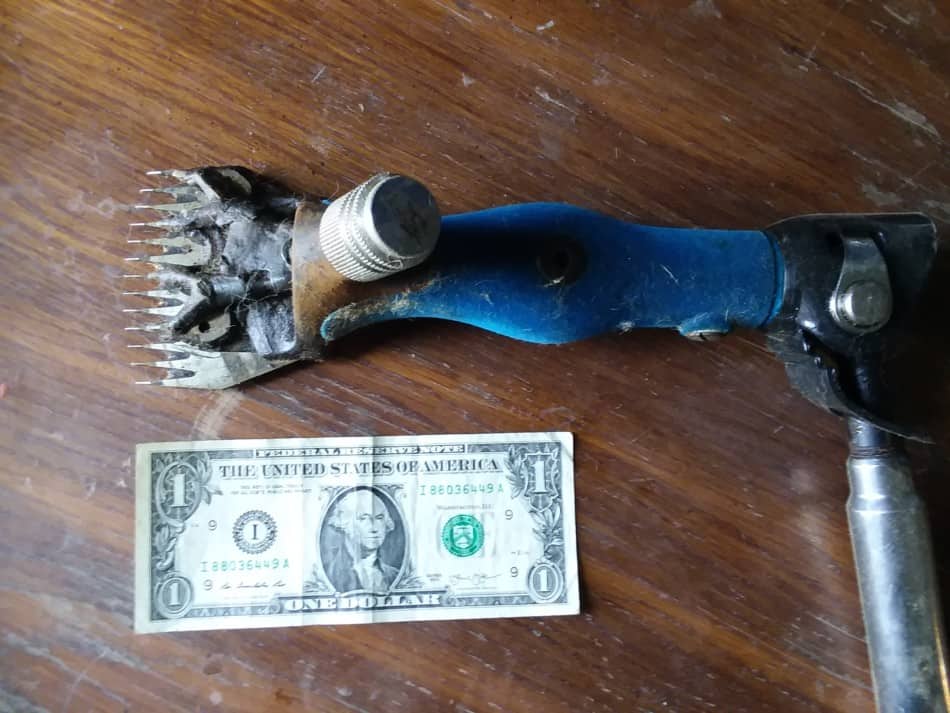 A shearing hand piece shown beside a dollar bill for scale.