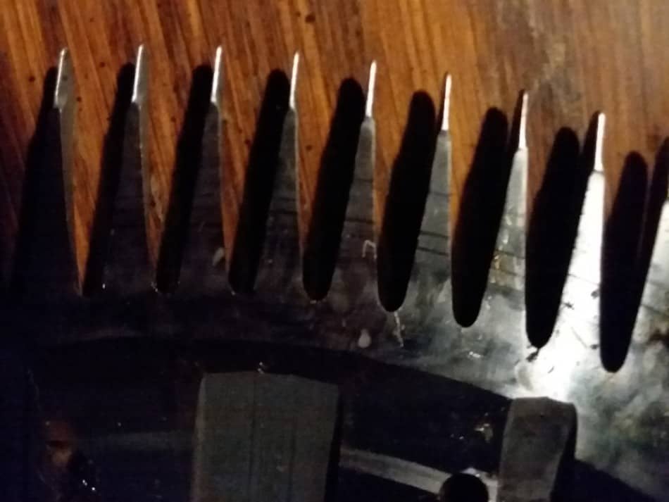 A close up view of the cutting side of the comb used for shearing sheep. Look closely and you can see the tips of the teeth are rounded and each tooth has a horizontal mark from the cutter going back and forth over it.