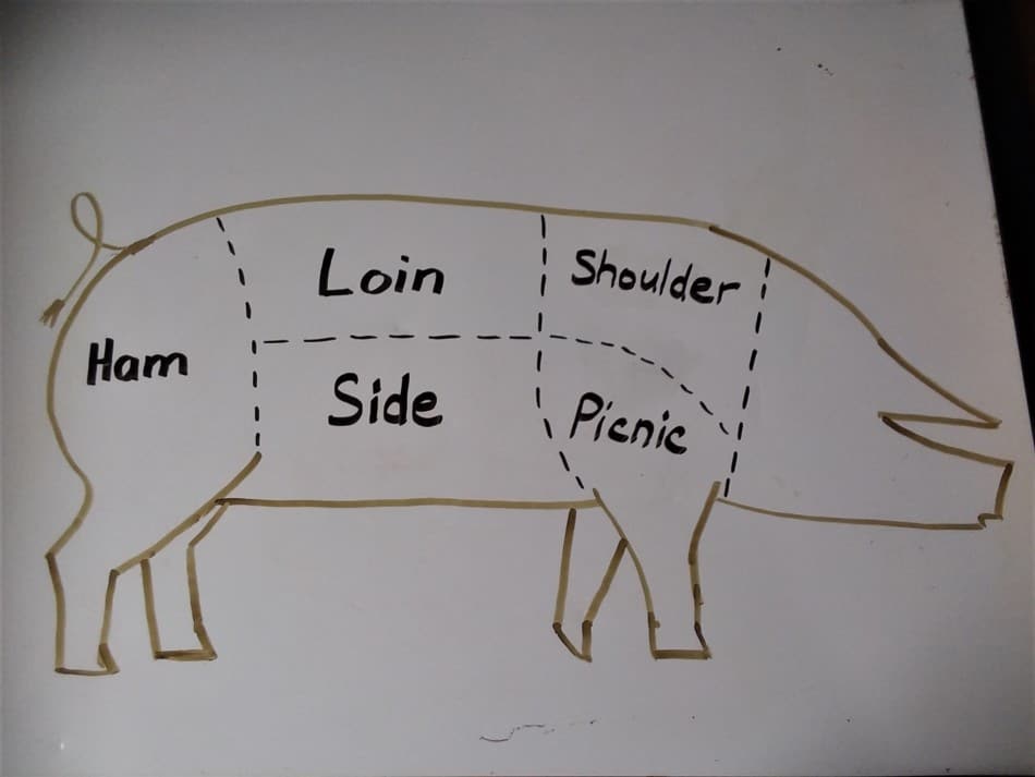 a drawing showing the basic butchering meat cuts of a pig each area is cut into smaller size pieces according to your order