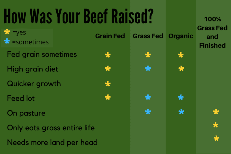 Info graphic showing the differences between  grain fed, grass fed, organic, and 100% grass fed and finished beef.