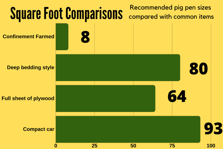 How Much Space Do I Need To Raise Pigs Family Farm Livestock