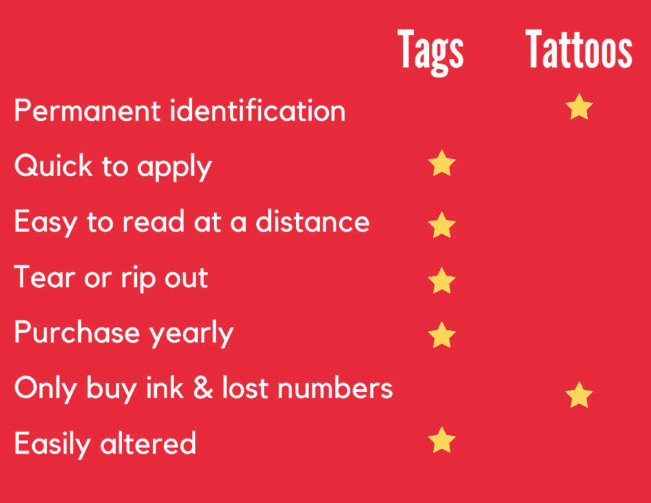 Tags vs. tattoos info chart
