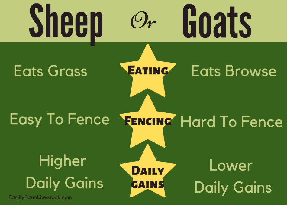 Chart highlighting the main differences you should consider when thinking about raising sheep or goats