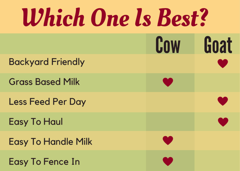 chart showing reasons to get a milk cow or a milk goat
