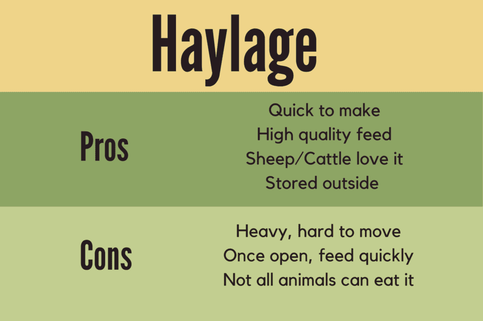 info graphic showing pros and cons of haylage for livestock