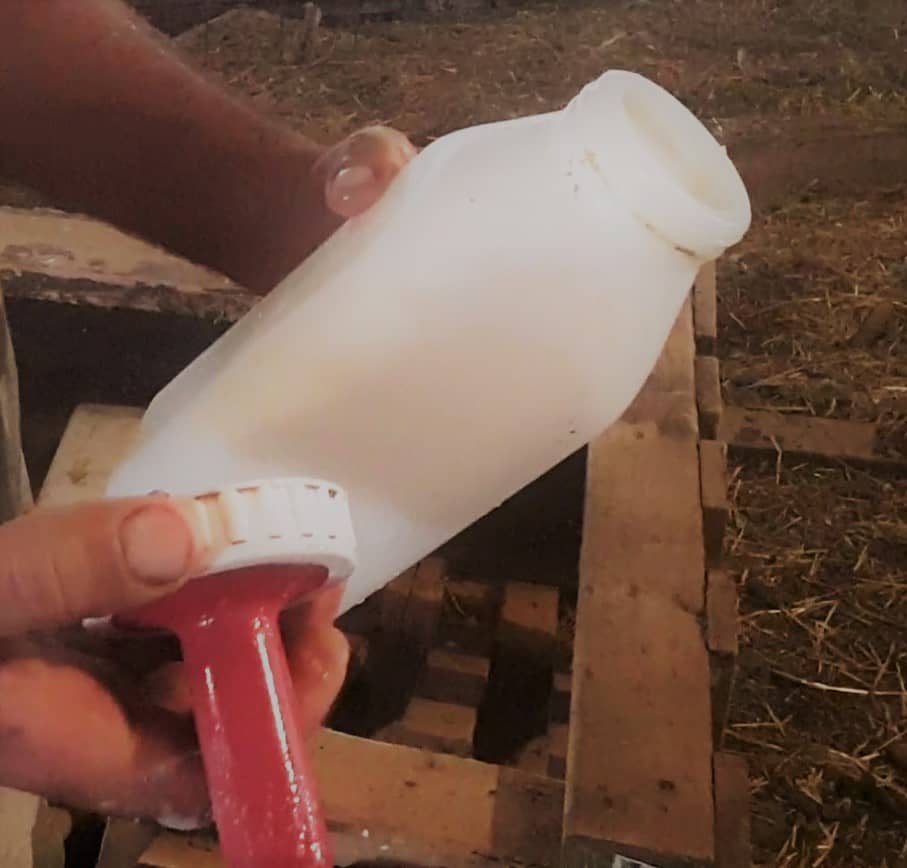 Bottle for feeding calves