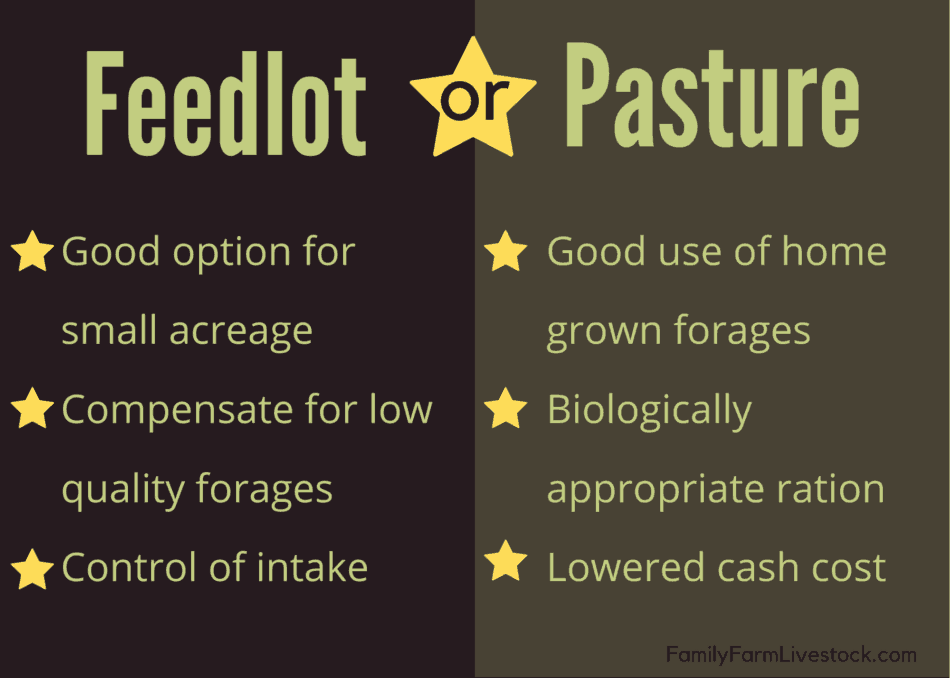 Graphic showing the some of the differences between feedlot or pasture raised cattle