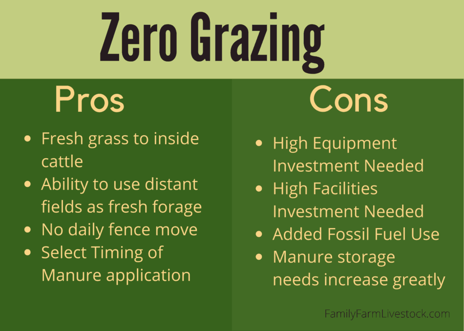Pros and cons of zero grazing info graphic
#familyfarmlivestock # cattle 
