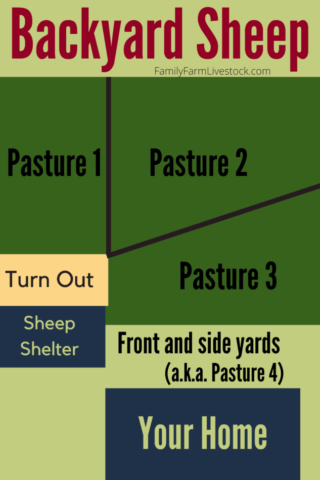An example of how to use sheep to graze the grass in your yard! Your yard can be divided any way that works for you and your sheep, saving you money on feed and hay costs while mowing and fertilizing your lawn at the same time!