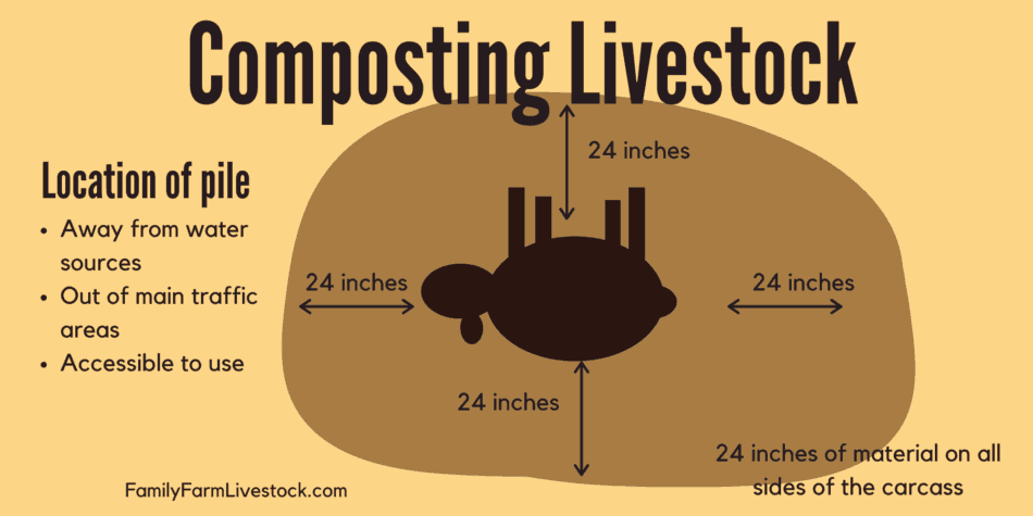 Graphic showing amount of compost material covering for livestock composting