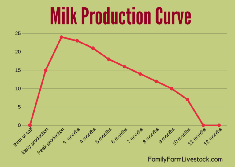 Your Family Cow's Milk Production: What To Expect - Family ...