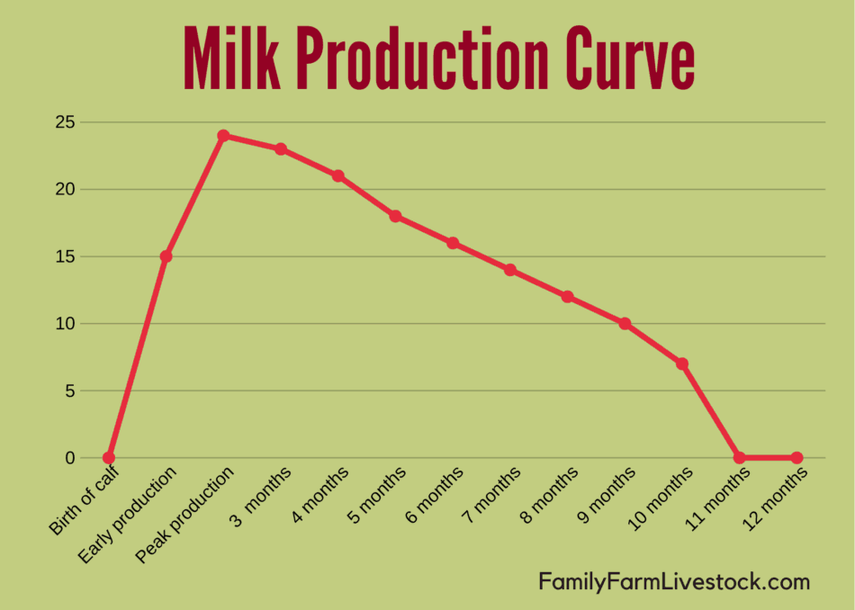 Graphic of a milk production curve for a family cow.