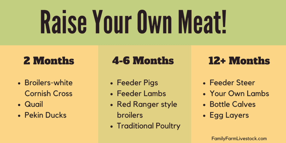 chart of raise your own meat options and time to finish the project