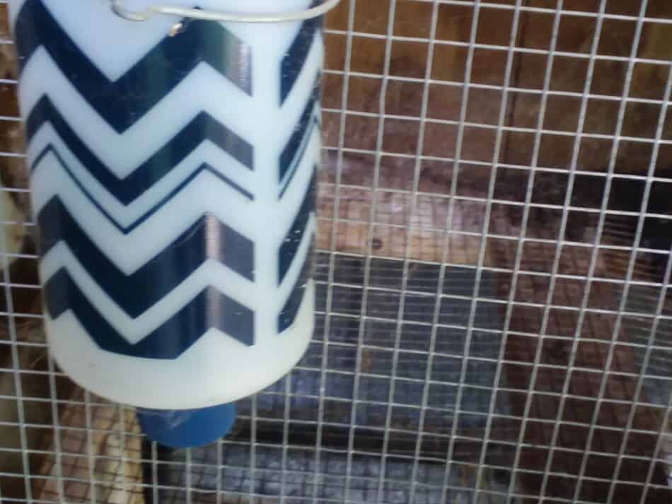 rabbit cage with a water bottle on the side of the cage