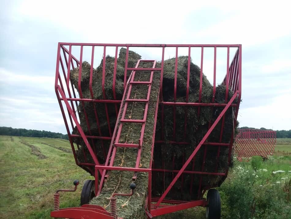 2nd cutting hay in hay baskets, baled end of July