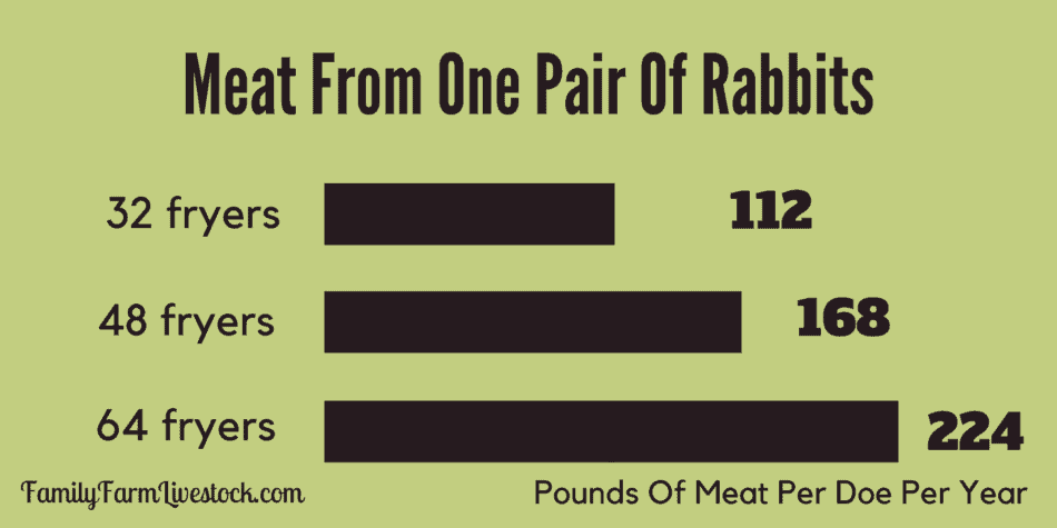 chart showing pounds of rabbit meat produced per doe per year based on how many litters she has in a year