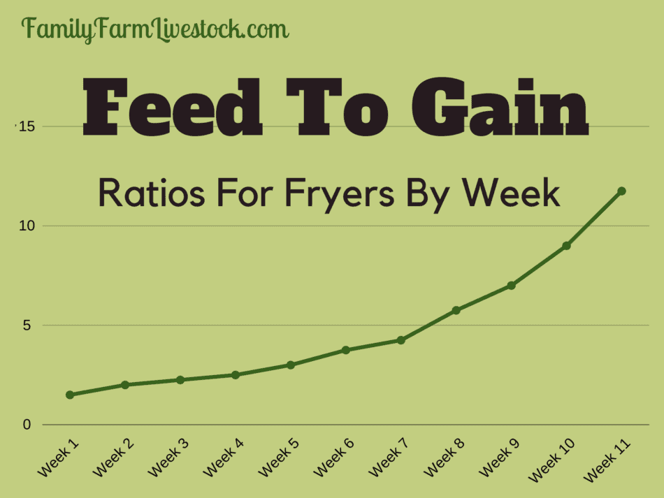 chart showing the feed to gain ratios in growing meat rabbits (fryers)