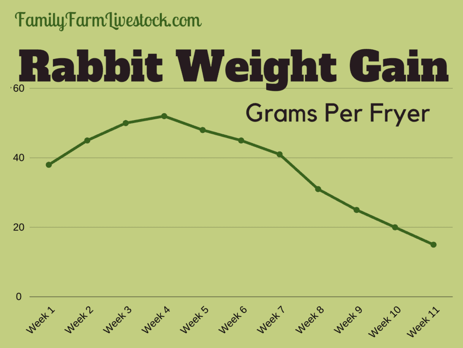 chart showing weight gain of fryers (young meat rabbits), gain shown in grams per day