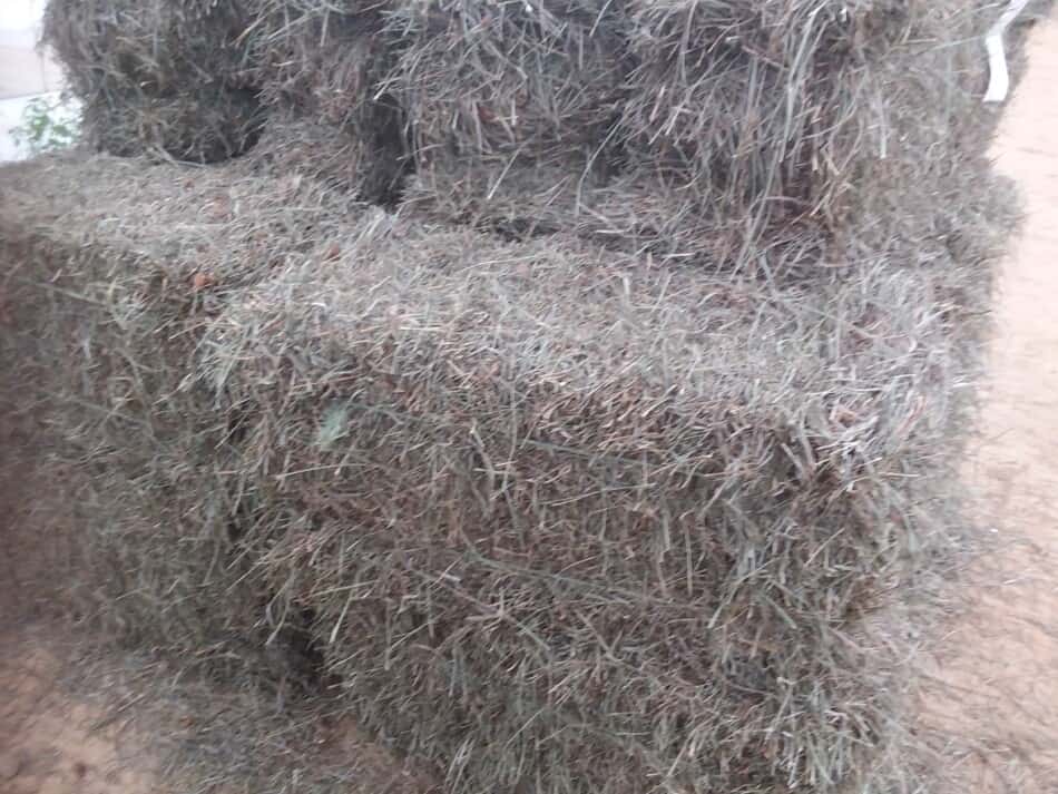 stack of hay for sale at a local auction