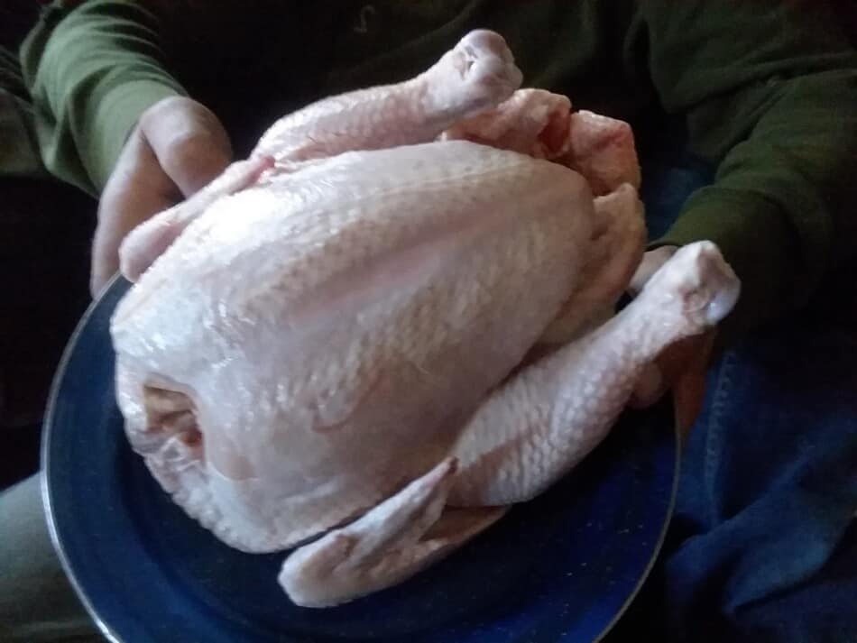 Fresh dressed chickens for... - Gracie's Broiler Chickens | Facebook