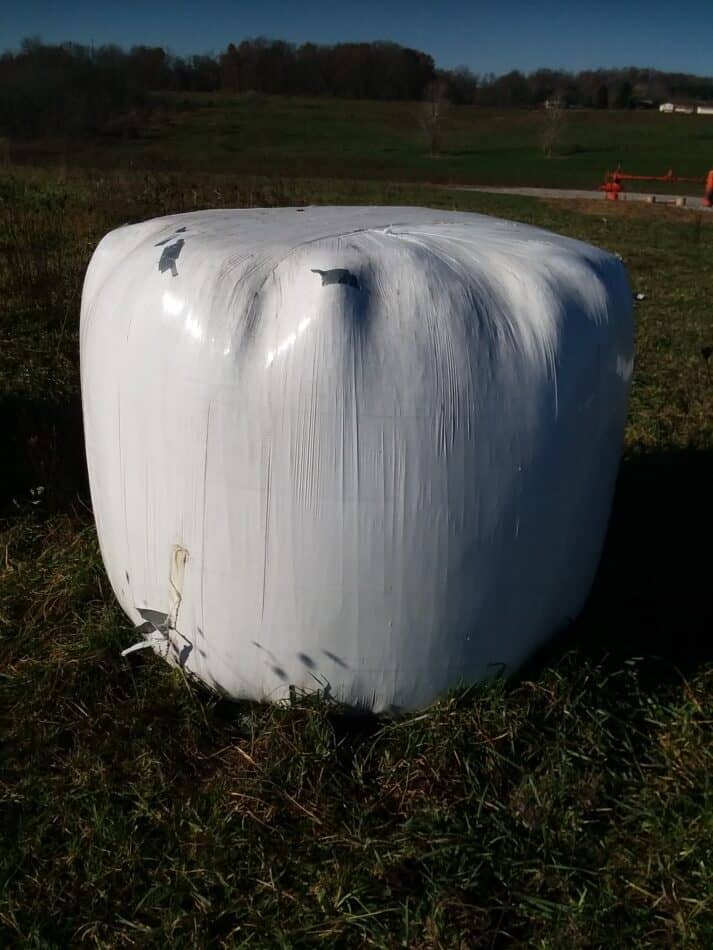 plastic wrapped bale of haylage