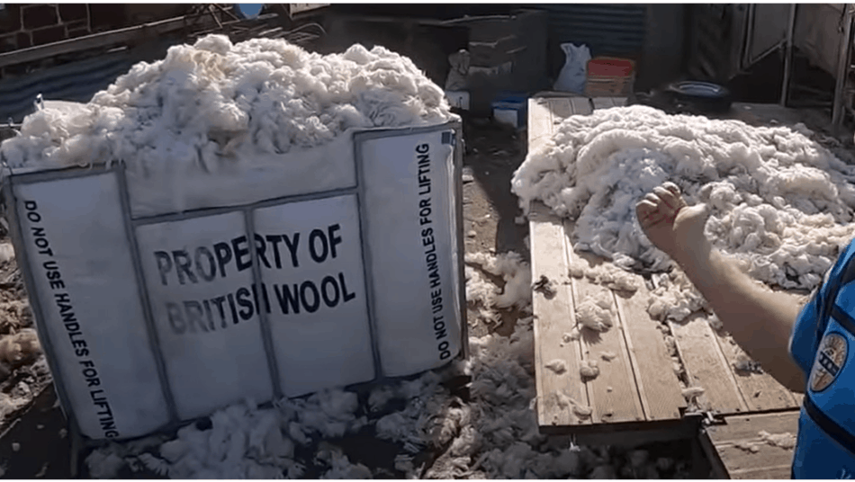 wool bag full of wool, The Sheep Game (YouTube)