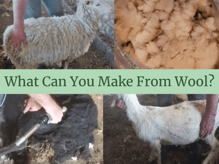 What Can You Make Out Of Sheep Wool?
