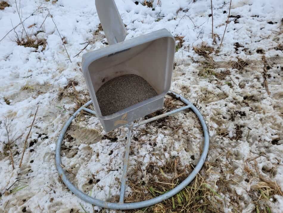 sheep mineral feeder for pasture